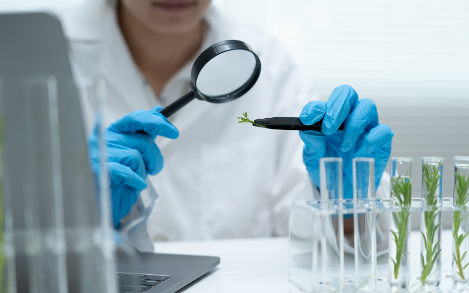 The Growing Importance of Environmental Testing
